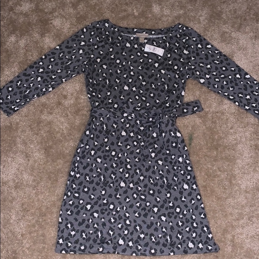 Women’s Loft dress